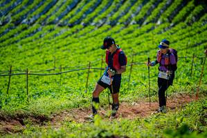 BIB: 9517, 170
                            <button type="button" onclick="openModal(19162843)" class="btn btn-primary btn-sm float-right btn-popup" data-toggle="modal" data-target=".modal-high-quality">
                        <i class="fas fa-shopping-cart"></i> Add to Cart
                    </button>
                                            <button type="button" onclick="isThisMe(19162843, true)" class="btn btn-success btn-sm float-right btn-popup btn-isme hidden" data-toggle="tooltip" data-placement="bottom" title="นี่คือรูปของคุณใช่ไหม คลิกที่นี่เพื่อเอาเข้าอัลบั้ม">
                        <i class="fas fa-plus"></i> Add to album
                    </button>
                    <button type="button" onclick="isThisMe(19162843, false)" class="btn btn-warning btn-sm float-right btn-popup btn-isnotme hidden">
                        <i class="fas fa-ban"></i> Remove from album
                    </button>